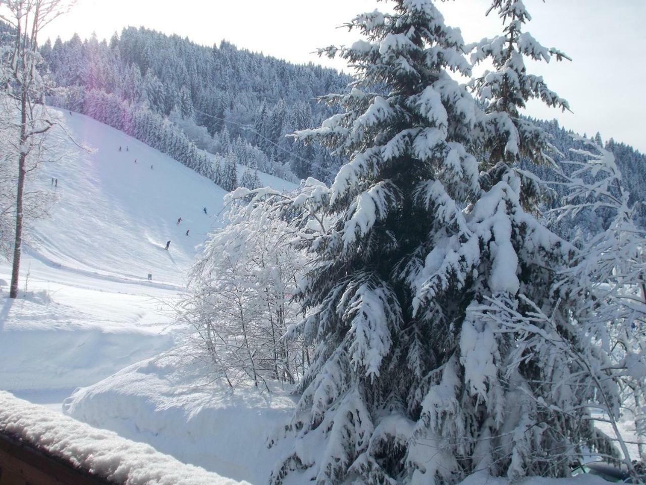 Chalet Jonquille Les Gets Dış mekan fotoğraf