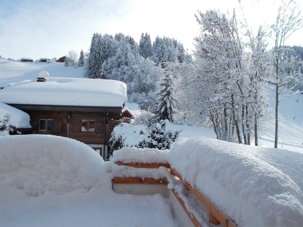Chalet Jonquille Les Gets Dış mekan fotoğraf