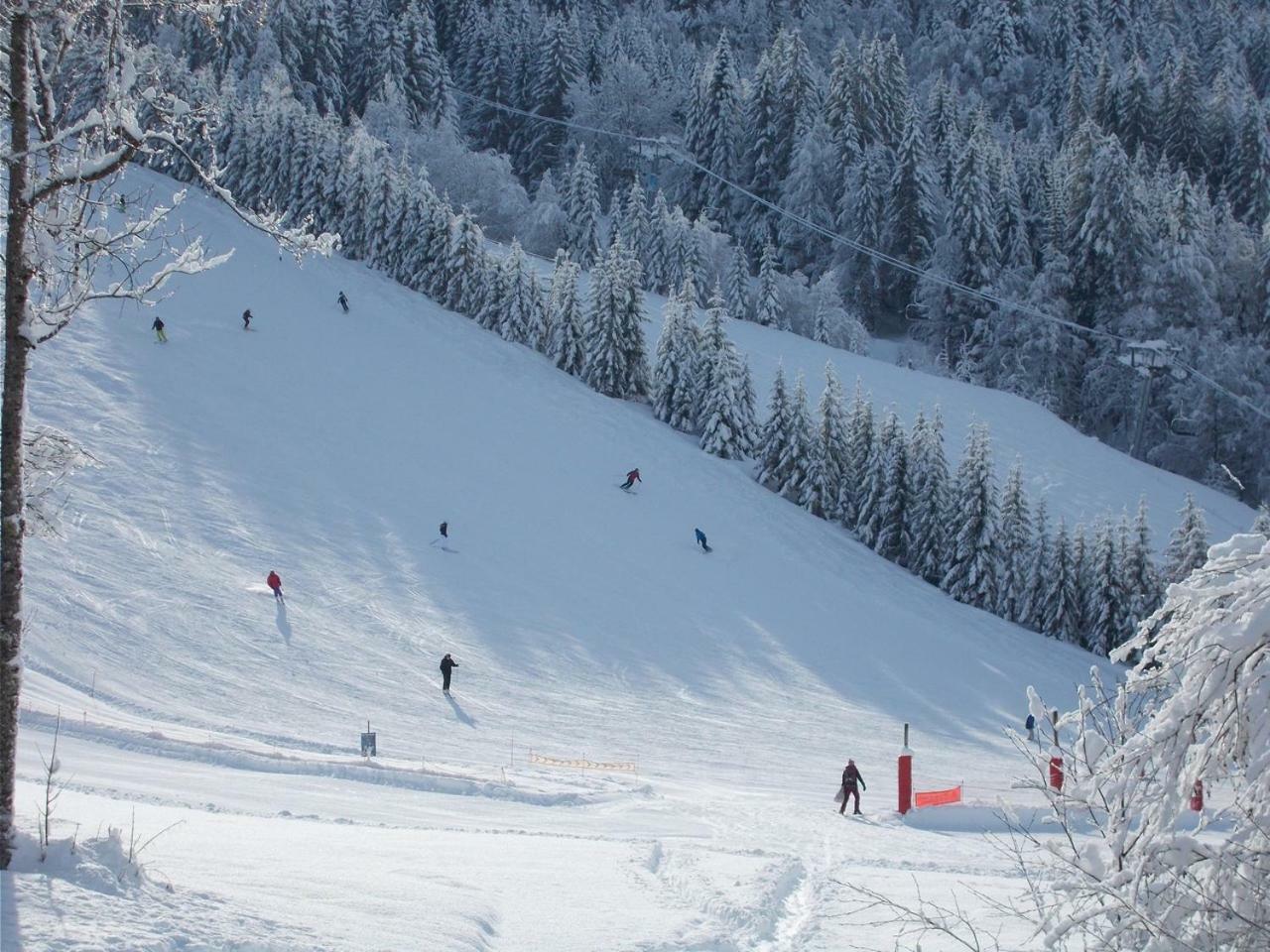 Chalet Jonquille Les Gets Dış mekan fotoğraf